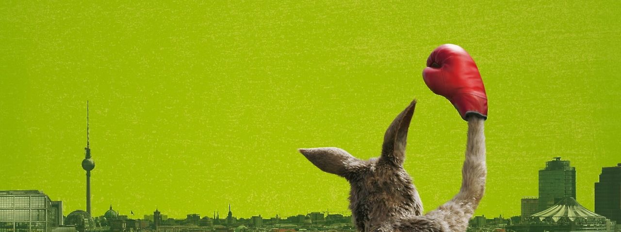 Känguru mit Boxhandschuh